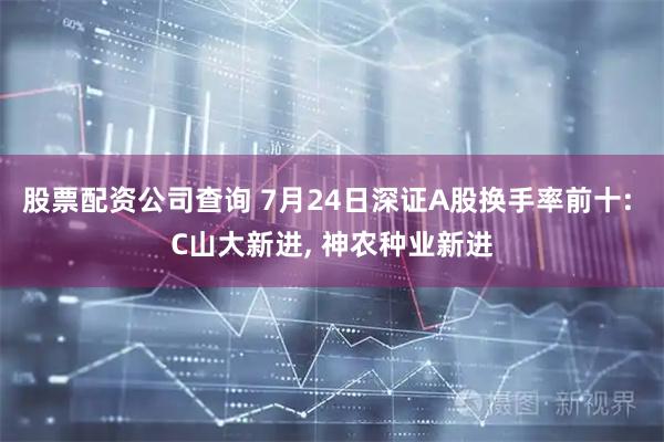 股票配资公司查询 7月24日深证A股换手率前十: C山大新进, 神农种业新进
